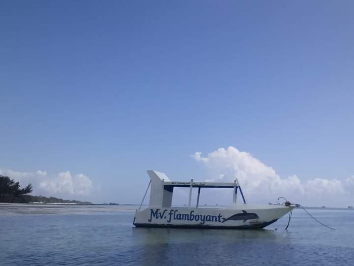 Robinson Island kayak